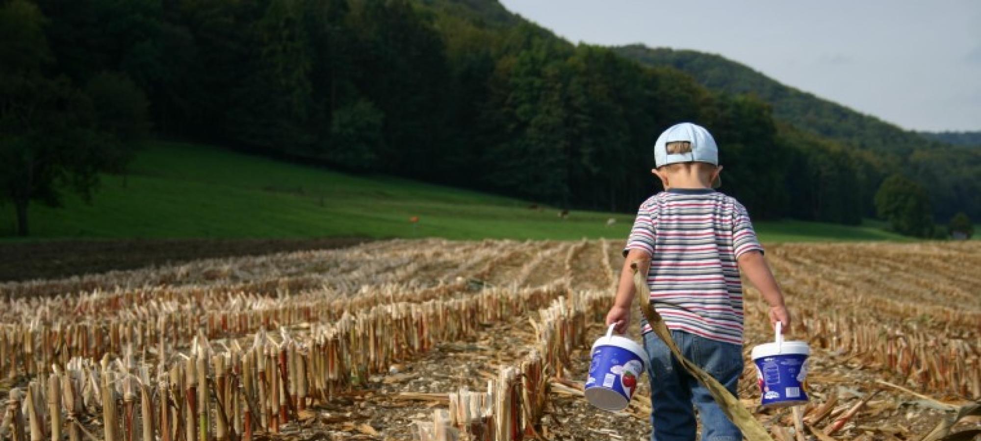 Bild: Matthias Singer, landwirtschaft.ch